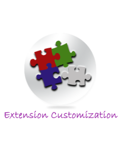 Extension Customization