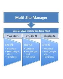 Multi Website Upgrade