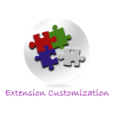 Extension Customization